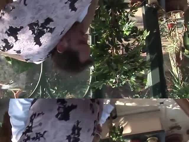 Adorable And Alec Knights Rita Faltoyano Movie