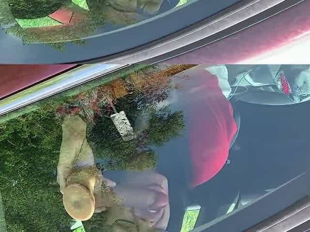 I Got Lustful Whilst Driving So I Stop To Bang My Sex Tool In The Car For A Bit