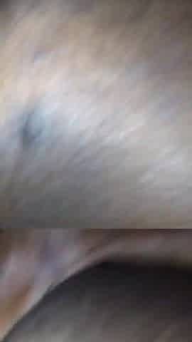 Black Freak taking Rod