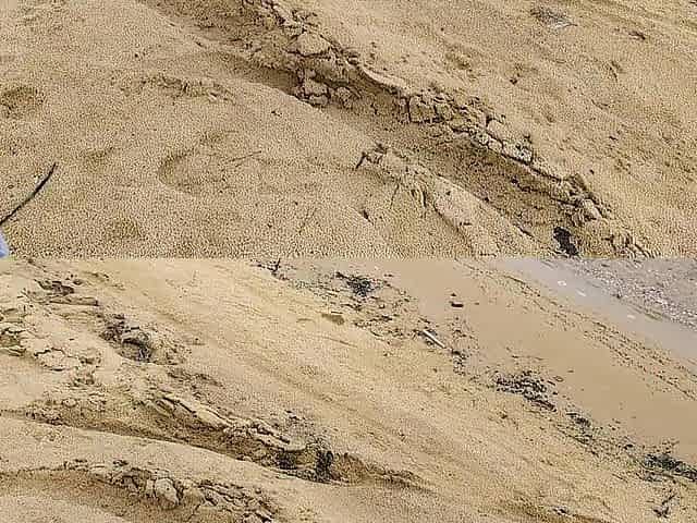 mother I'd like to fuck walking on beach near lake and show her underclothing