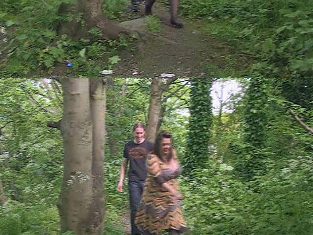 Busty Nastyshag Outdoor Fuck