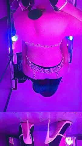Bawdy Pink Leopard Anal Doxy