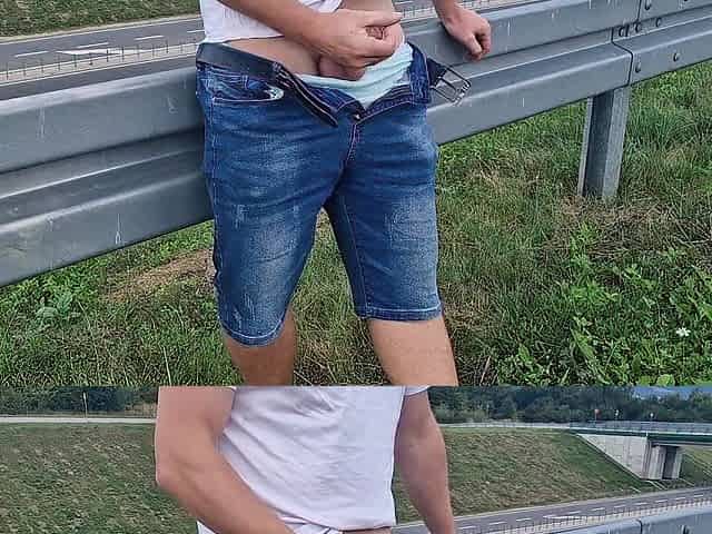 Public oral-sex on the highway