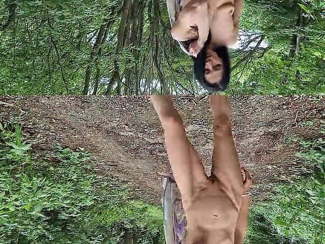 Stripped Outdoors with Wide Open Snatch Showing My Cervix and Pissing