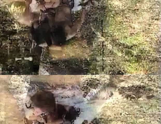 Hardcore double penetration threesome