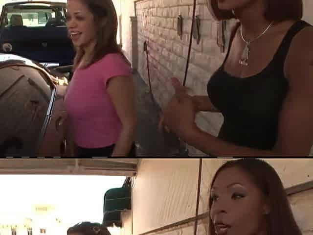 Is Curvy Black Slut With Taylor Black And Chavon Taylor