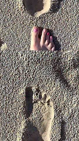 Comparing Size 16 Feet to Sand Prints at the Beach