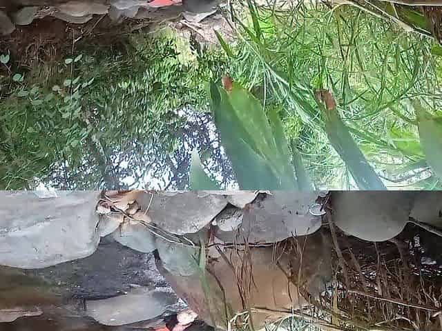 PART ONE. They meet at the river and BANG MY BOOTY.. SEX IN THE FOREST alexachris20