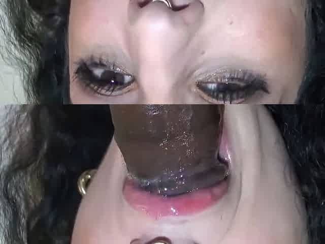 Big Cocks and Interracial MILF Fun