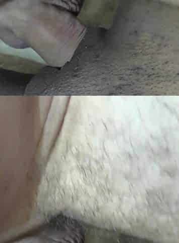 Ebony teen pink panty gets creampied by big cock