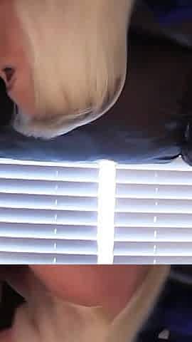 Ms Paris Is a Professional Cock Sucking Slut Part 2