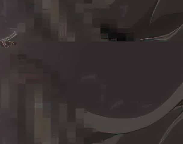 Delicate Story of the Shape_120420p0001