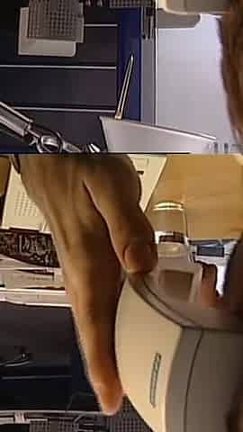 Amateur Sluts Love Hard Cocks