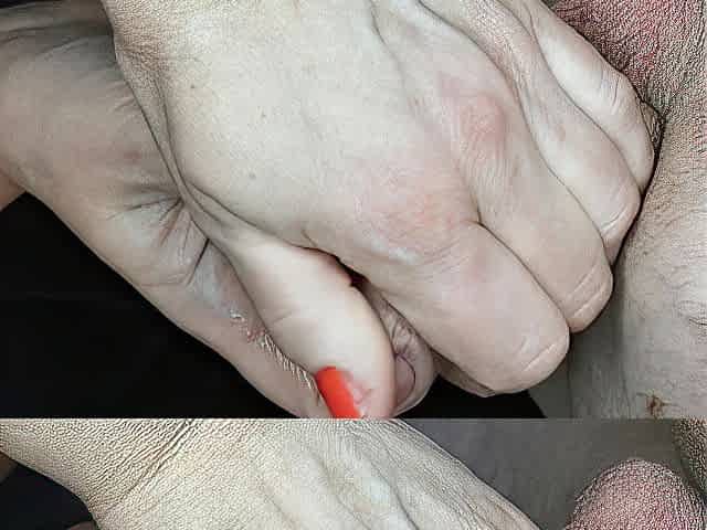 Mrs Kitty giving a Helping hand to her owner