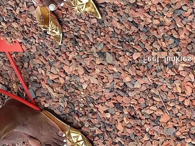 Essence Feet on Convention Center Blvd