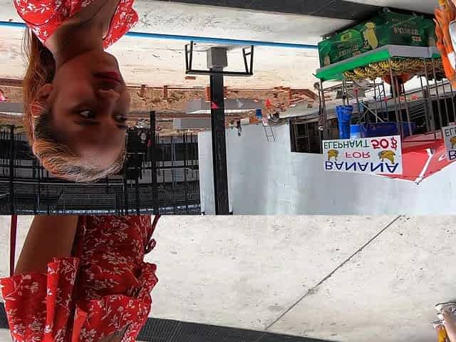 Elephants feeding with Thai girlfriend