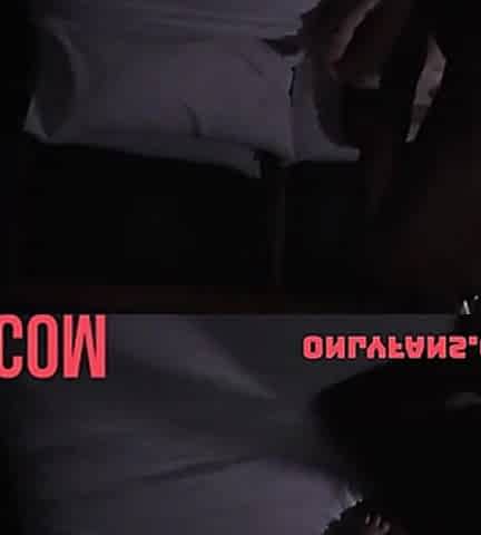 Slim African Great Fuck with White Stud Bts