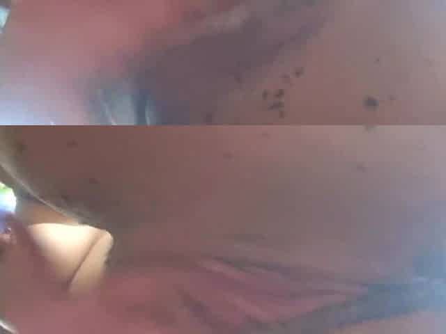 Dirty Pussy in the Forest Extreme Close up