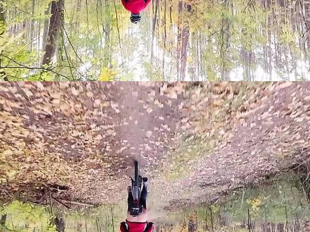 When biking in the forest I often get lascivious and have to void urine and masturbate to relax