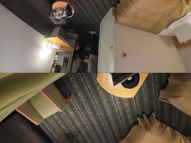 0010548_Japanese_Censored_MGS_19min