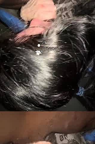 OnlyFans MrBucko Aka Heyitsbucko Big Black Cock Lil White