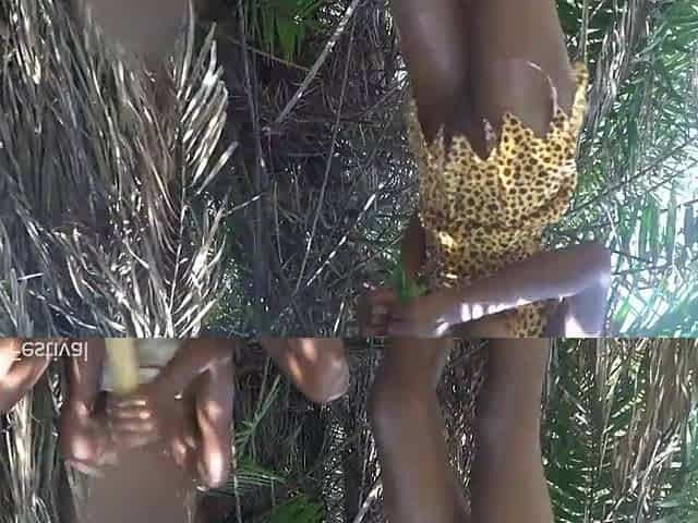two Afro tribe beauties stroking their chief with their butts in the river