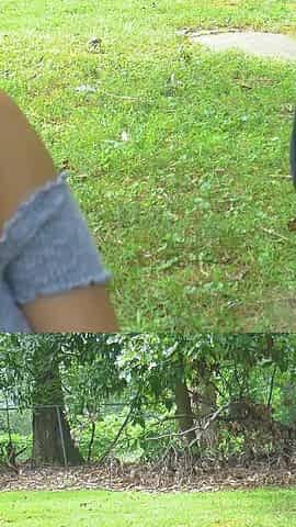 Fucking in the Park