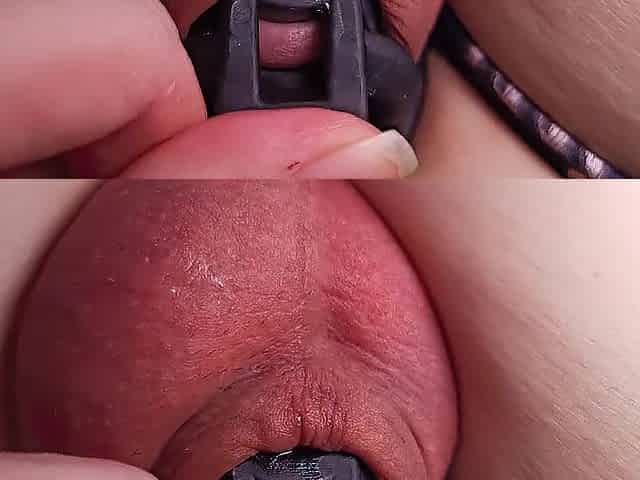 Super close up wang leaking pre cum in chastity cage
