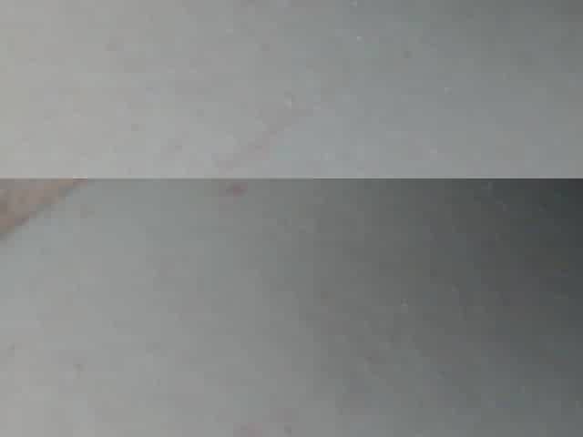 Webcam Recording, 25 Minutes of Ass and Pussy Playing