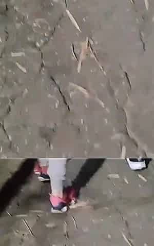 I Met a Follower at Bosque Maia in Guarulhos and We Went to Fuck in the Middle of the Woods!