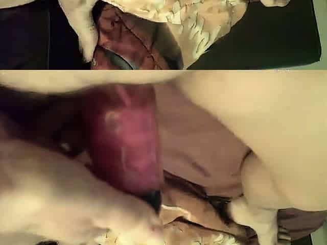 Dansk MILFs Solo Leg med Dildo