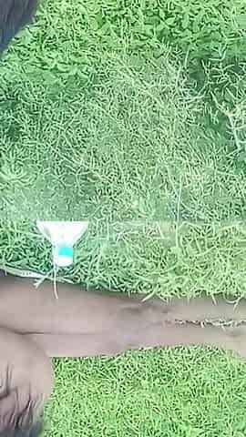 Desi Village Girl Hot Chudai with Boyfriend in Field