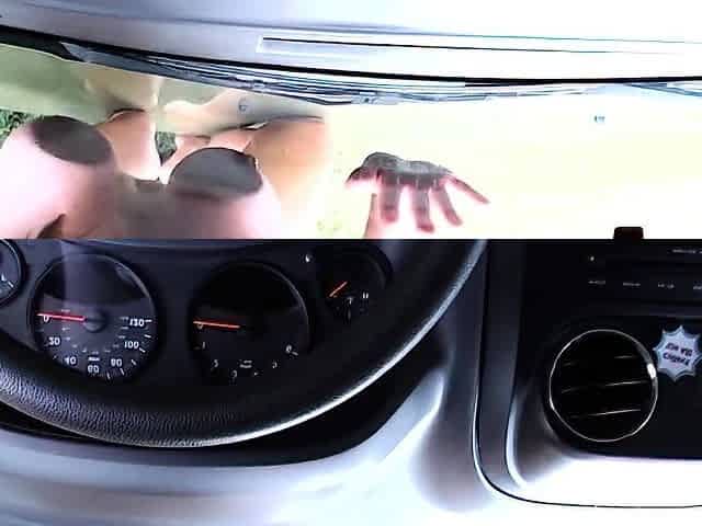 Blonde Milf Seduces Driver, Masturbating in Public