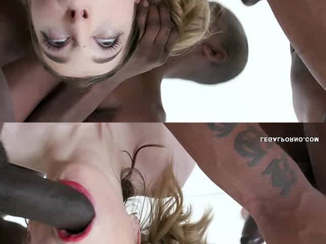 Lana Bunny Drinks African Iv470