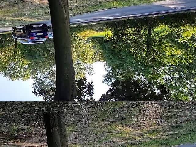 Risky Public Sex with my Wicked Neighbor in the Local Park