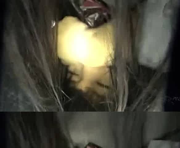 Japanese-sex-siko-33