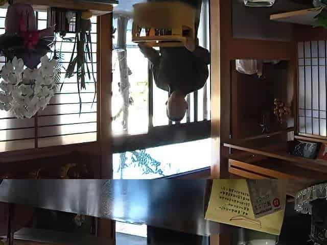 Japanese-sex-toto-384