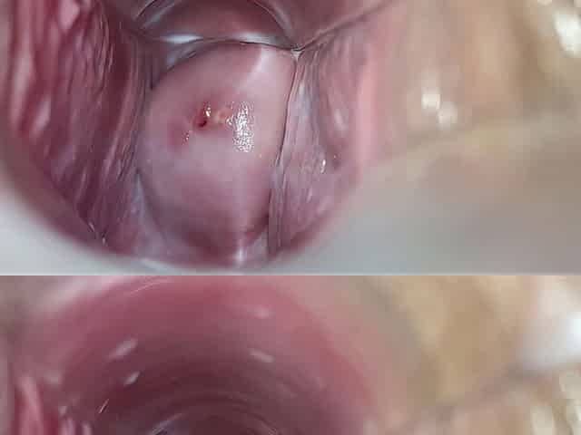vagina climax