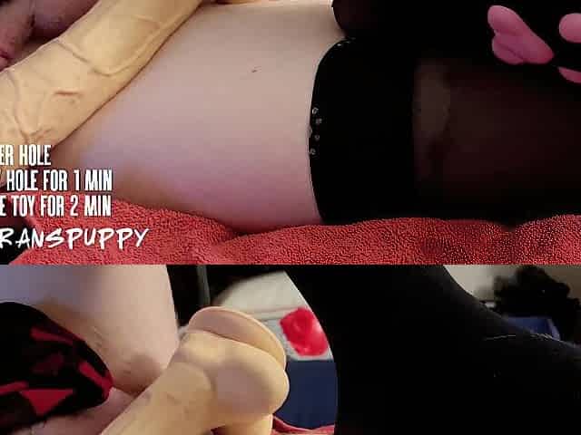 SLUTtransPUP toys themselves on stream in paw socks