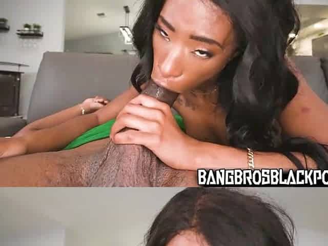 EBONY PORN COMPILATION #6 - Mini Studhorse, Ashley Aleigh, Lily Starfire.