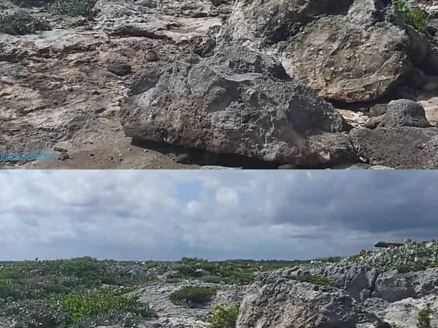 Risky masturbation on a beach, my melons are shaking hot