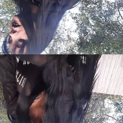 Outdoor Piss, Anal and Pussy Play