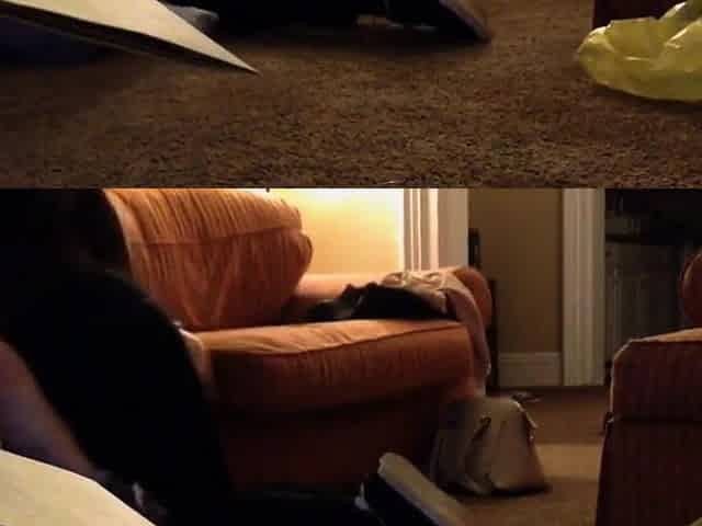 Interracial Cheating with a Big-Ass Black Girl