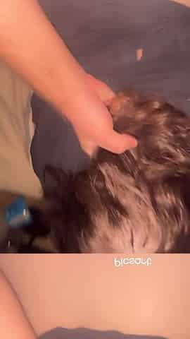 Rough Doggy and Fingering