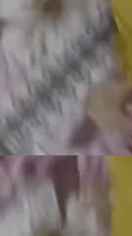 Indian Desi Couple Ramantic Passionate Sex
