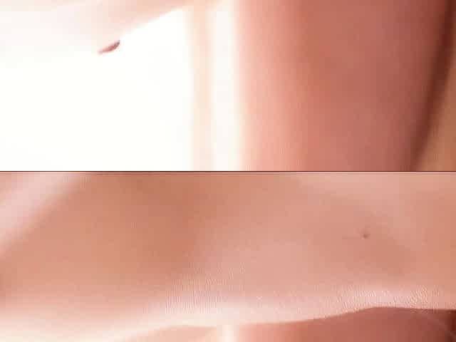 Beautiful blonde brunette lesbian action