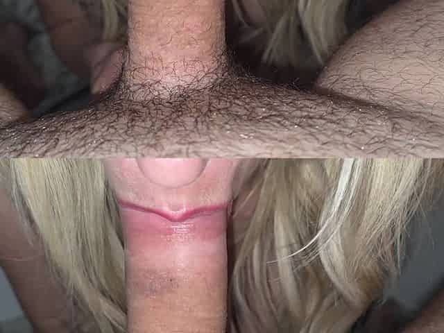 Titjob, Fucking, Sucking...