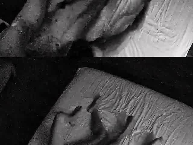 Amateur Asian Solo Fucking On Cam