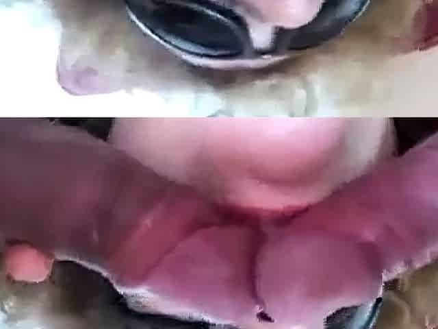 Milf frottage 2 cocks & cumshot