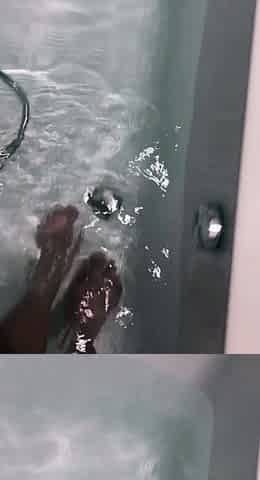 Cute amateur webcam teen girl toying pussy on webcam